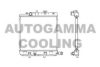 AUTOGAMMA 103062 Radiator, engine cooling